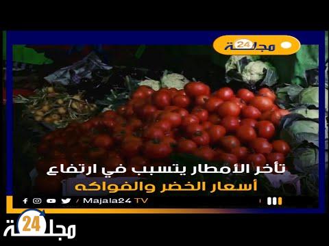 بالفيديو..تأخر الأمطار يتسبب في ارتفاع أسعار الخضر والفواكه