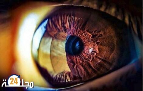 حالة العين تكشف أوضاع أعضاء الجسم الأخرى
