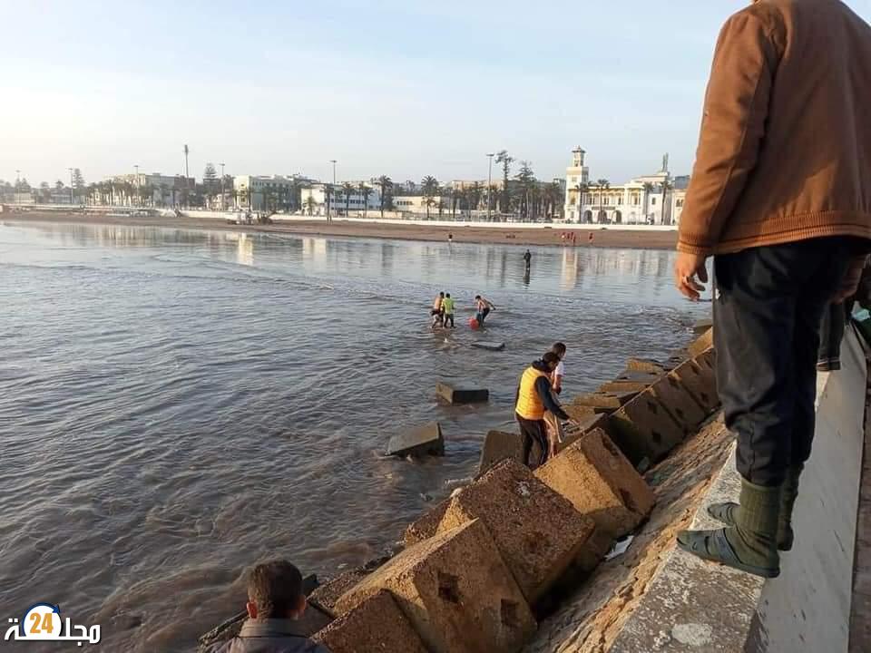 فقدان اربعة بحارة و انتشال ثلاثة في انقلاب قارب صيد بالقرب من شاطئ الجديدة