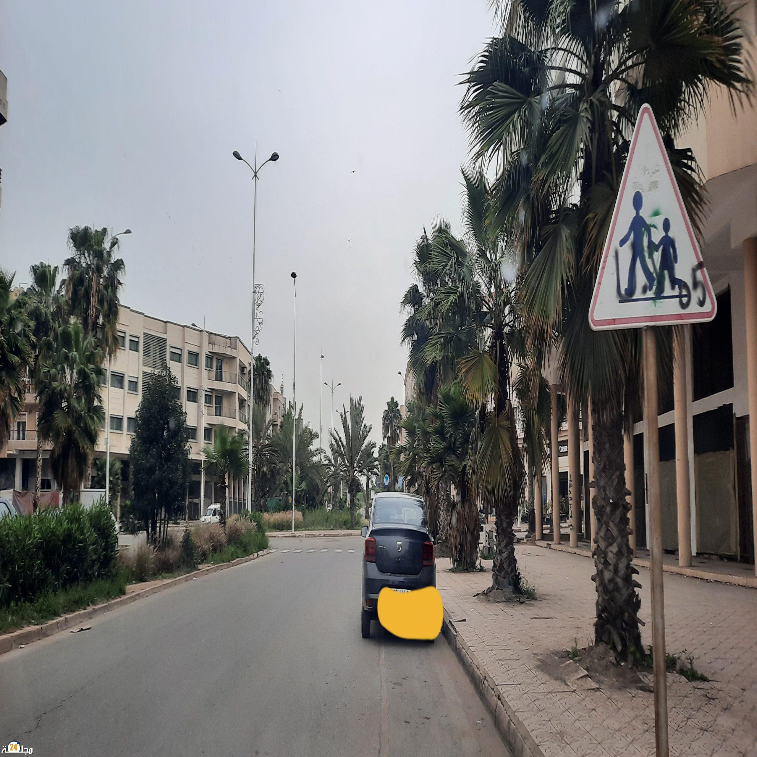 أشجار النخيل بالشارع الرئيسي تحتاج إلى تشذيب والمجلس الجماعي لجماعة أولاد صالح خارج التغطية؟؟!