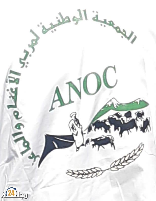 مسابقة اختيار أحسن الأغنام و أجودها بإقليم افران