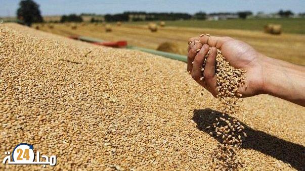 وزير الفلاحة: المغرب استورد 18 مليون قنطار من القمح اللين