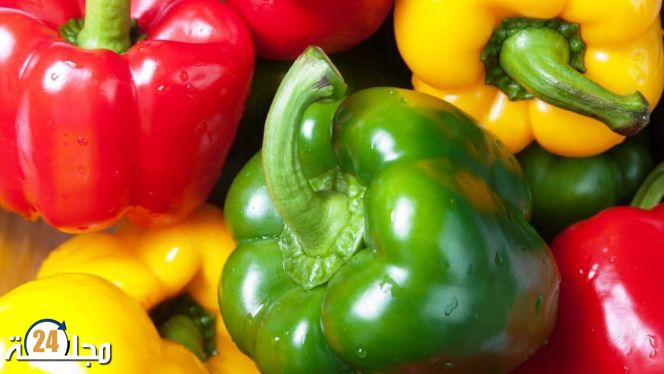 برلماني: “علاش الفلفلة غالية واش كنشريوها معمرة بالكفتة”