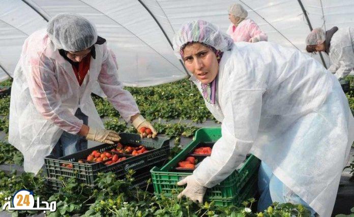 إسبانيا تطلق مشروعا اجتماعيا لمواكبة العاملات المغربيات