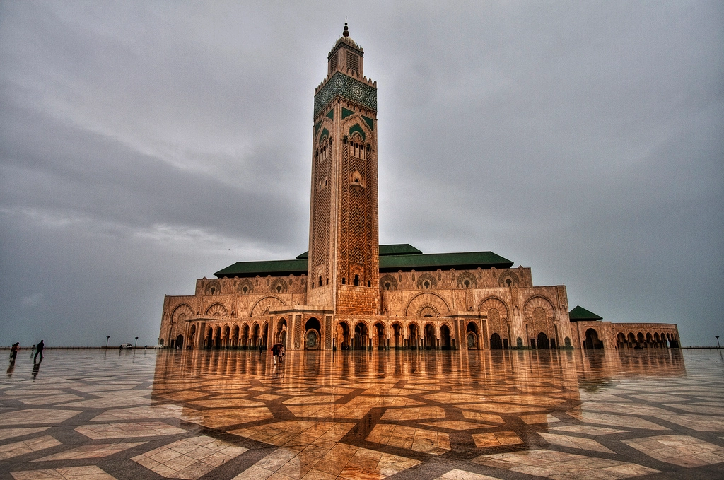 هكذا تتم مكافحة الحمام بمحيط مسجد الحسن الثاني