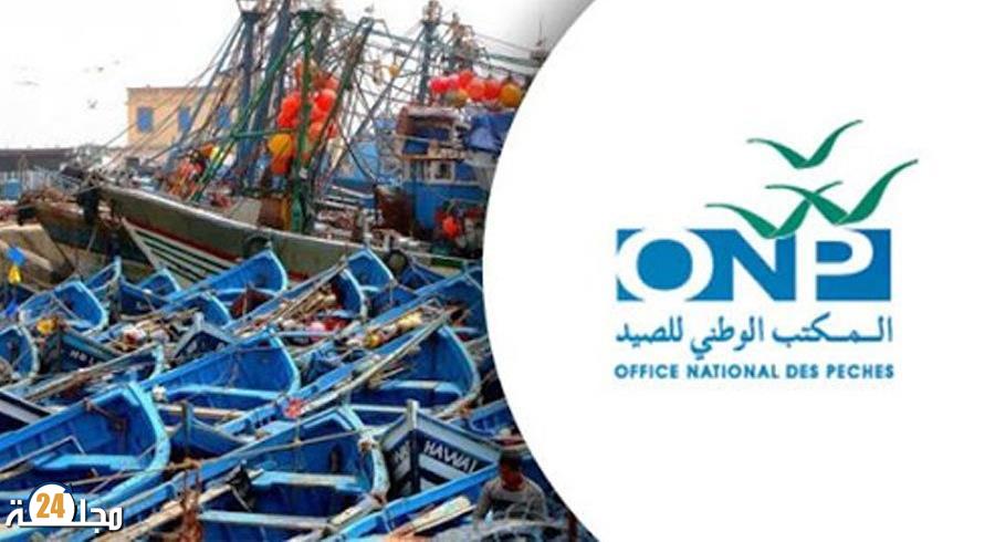 الصيد البحري: ارتفاع قيمة المنتجات المسوقة بنسبة 14 في المائة خلال الفصل الأول من عام 2022