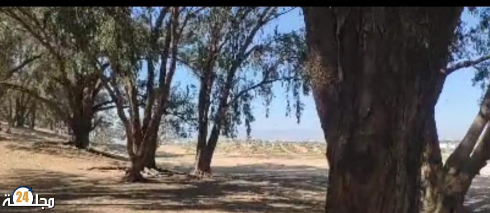 العثور جثة شاب منتحر بغابة المزار عمالة انزكان