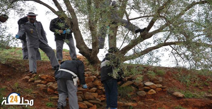 جثة قاصر معلقة بشجرة تستنفر درك كيسر