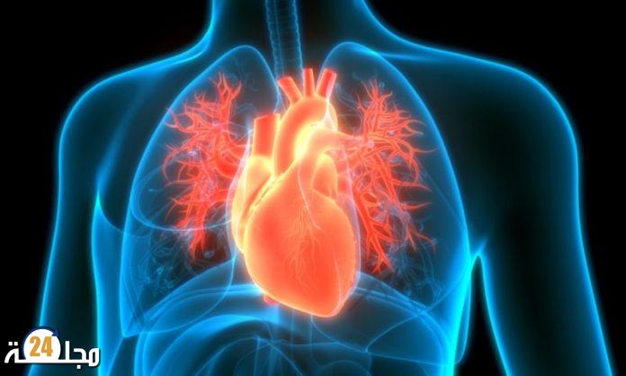 أهم النصائح للحفاظ على صحة قلبك