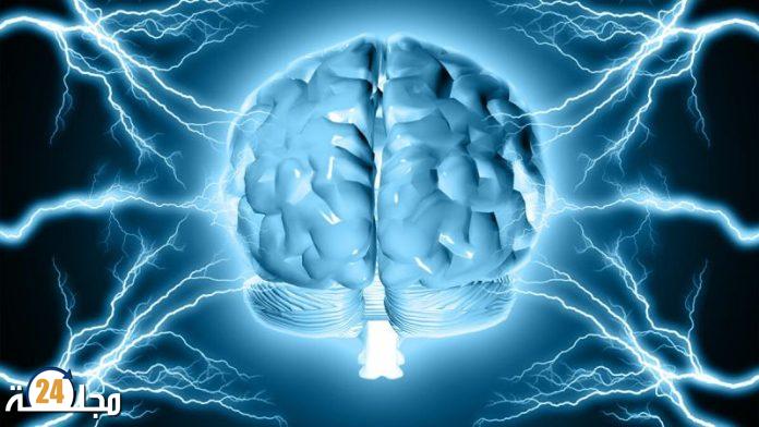 تحديد خلايا « التعلم من الأخطاء » داخل دماغ الإنسان