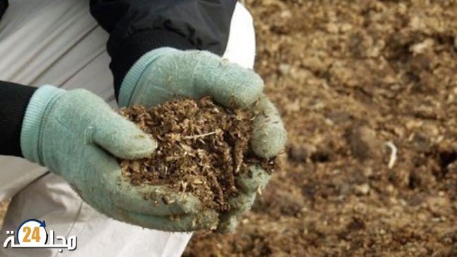 ضبط شاحنة محملة بـ”فضلات” الدجاج موجهة لتسمين الأكباش بضواحي أكادير