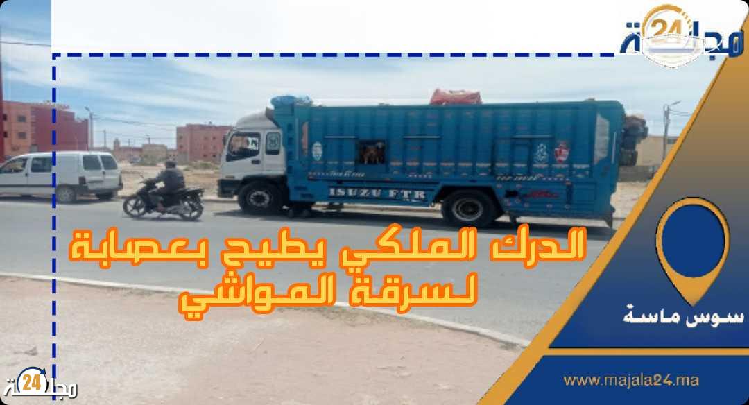 الدرك الملكي يطيح بعصابة لـسرقة المـواشي