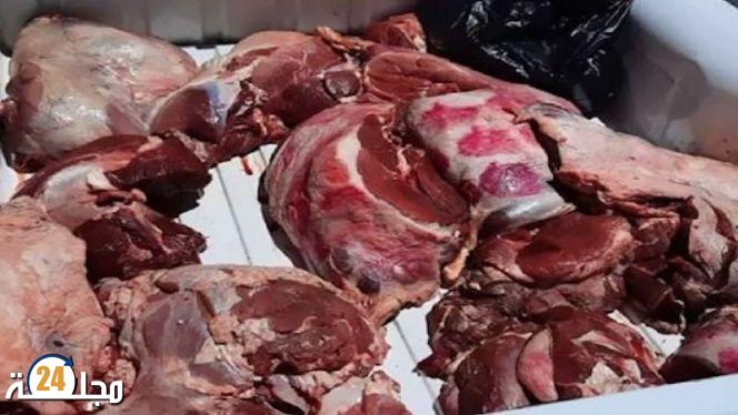 حجز نصف طن من اللحوم الفاسدة موجهة لموائد المستهلكين بأكادير