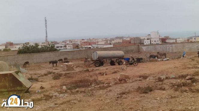 عرض 17 حمارا بالمزاد العلني يثير جدلا واسعا (صور)