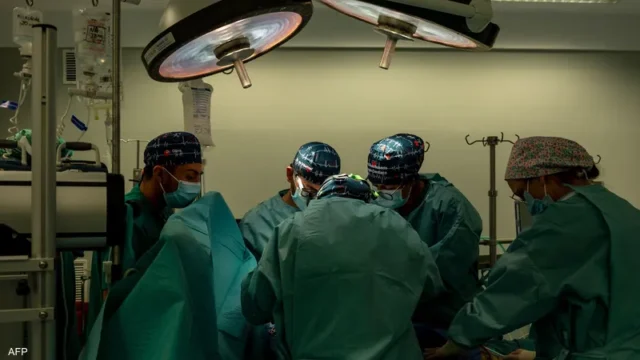 نجاح عمليتي زرع قلبي خنزيرين لشخصين ميتين دماغياً بنيويورك