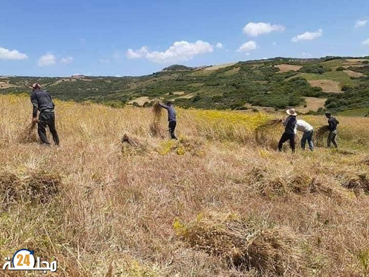 في الظهيرة ..تكلم متى تشاء !
