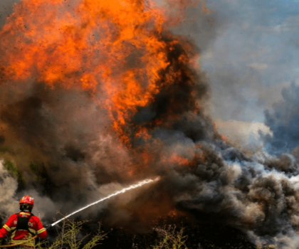 بريطانيا .. اندلاع أربعة حرائق في غابات لندن بسبب الحرارة المرتفعة