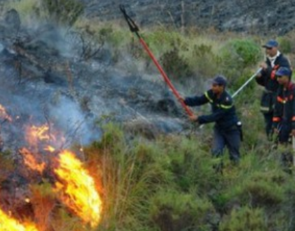 إقليم تطوان .. السيطرة على حريق غابة بني إيدر