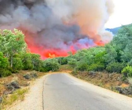 توزيع إعانات مالية على أصحاب المنازل المتضررة من حرائق الغابات بالعرائش