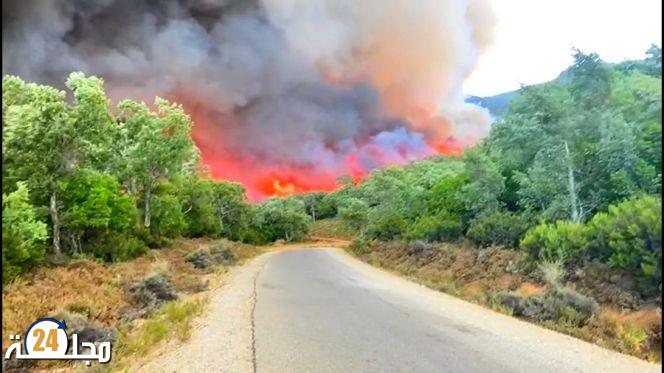 توزيع إعانات مالية على أصحاب المنازل المتضررة من حرائق الغابات بالعرائش