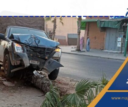 إصابة عمال الزرعين في حادث اصطدام بيكوب بشجرة ببيوكرى