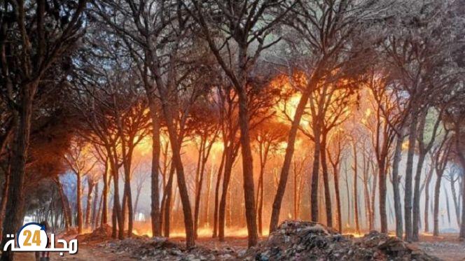 حرائق العرائش.. الشروع فعليا في تنزيل التدابير الاستعجالية وتعويض المتضررين