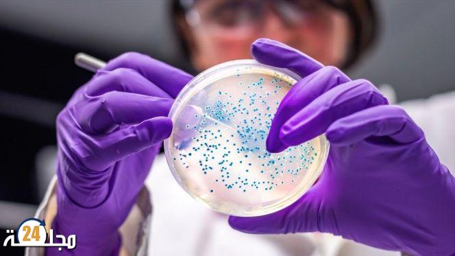 بسبب السالمونيلا.. عملاق الشوكولاتا العالمي يغلق أهم مصانعه