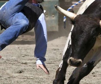 نطحة بقرة تنهي حياة امرأة بجماعة ولاد رحمون باقليم الجديدة 