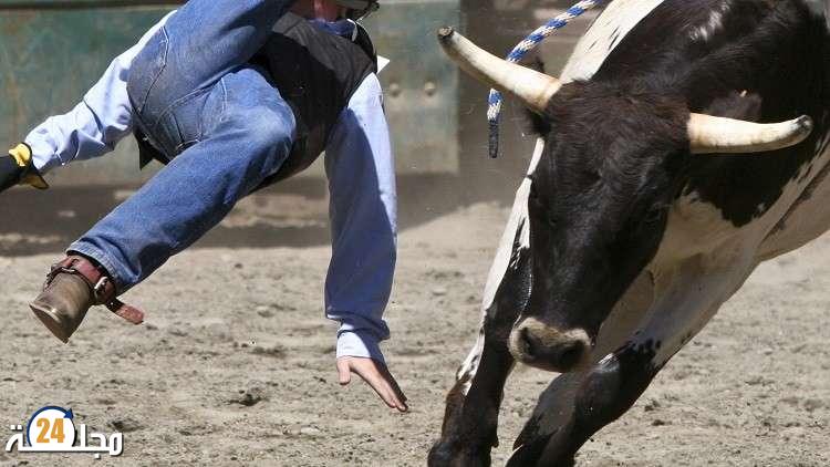 نطحة بقرة تنهي حياة امرأة بجماعة ولاد رحمون باقليم الجديدة 