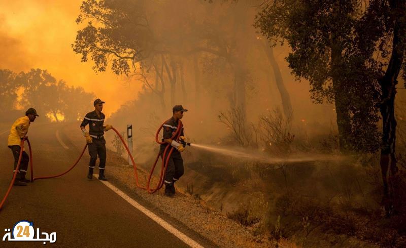 توقيع اتفاقية إطار لدعم الساكنة المتضررة من حرائق الغابات بكلفة مالية تصل إلى 290 مليون درهم