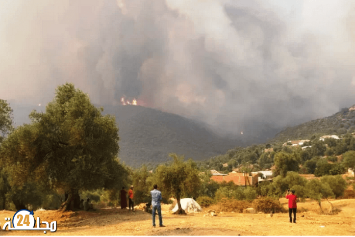 العرائش… السيطرة على الحرائق المسجلة بغابة « المبيكا » و « الساحل »