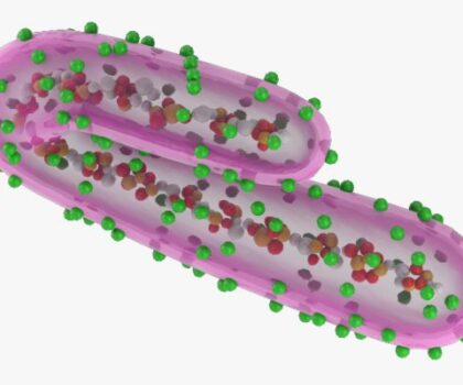 بعد تفشيه بدولة إفريقية..ماذا تعرف عن فيروس « ماربورغ »؟