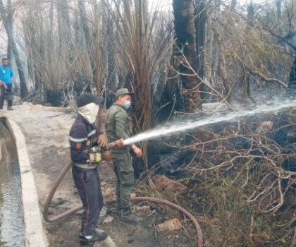 النيران تلتهم واحة “تمسولت” بطاطا