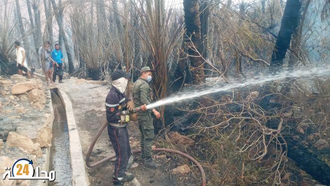 النيران تلتهم واحة “تمسولت” بطاطا