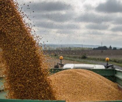 غوتيريش: 650 ألف طن من الحبوب في طريقها للأسواق العالمية