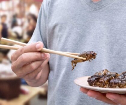 الحشرات صالحة للأكل ولكن لا حاجة لذلك حاليا!!