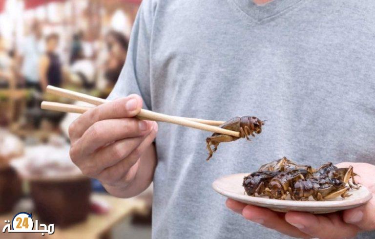 الحشرات صالحة للأكل ولكن لا حاجة لذلك حاليا!!