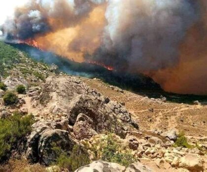 اندلاع حريق بضواحي زعرورة بإقليم العرائش دون تسجيل خسائر .