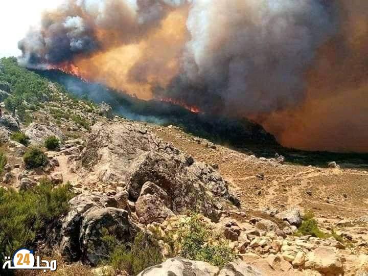 اندلاع حريق بضواحي زعرورة بإقليم العرائش دون تسجيل خسائر .