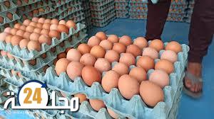 البيض ومطيشة ، تحلق عاليا