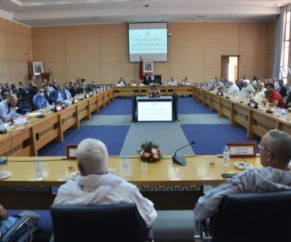 عامل إقليم سيدي إفني يترأس الاحتفال باليوم الوطني للجالية المغربية المقيمة بالخارج