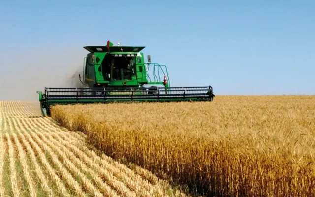 محصول الحبوب بالمغرب يتراجع هذا العام بـ69 مليون قنطار