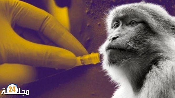 منظمة الصحة تبحث عن اسم جديد لـ”جدري القردة”