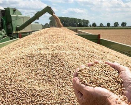 الرئيس الأوكراني: محصول الحبوب قد ينخفض إلى النصف بسبب الحرب