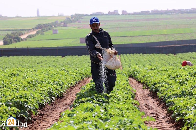 الموسم الفلاحي المقبل.. تعبئة 1,1 مليون قنطار من البذور المختارة في انتظار التساقطات المطرية