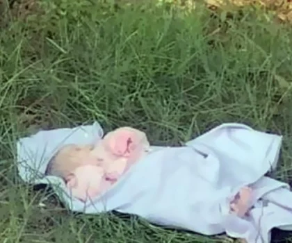 العثور على رضيع جـ.ثة هامدة مرمي بحاوية للأزبال