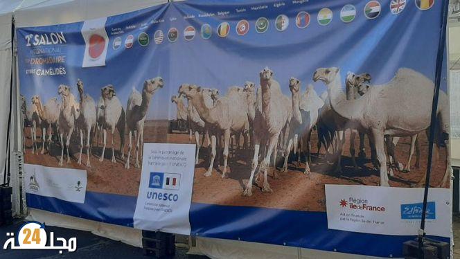 المغرب ضيف شرف المعرض الدولي للإبل بفرنسا