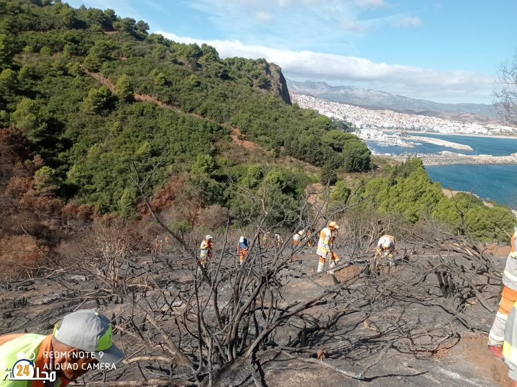 إطلاق عملية تشجير وتخليف غابة كدية الطيفور بالمضيق