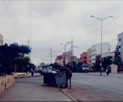 مختل عقلي يتسبب في حالة رعب و فزع لساكنة حي سيدي مومن