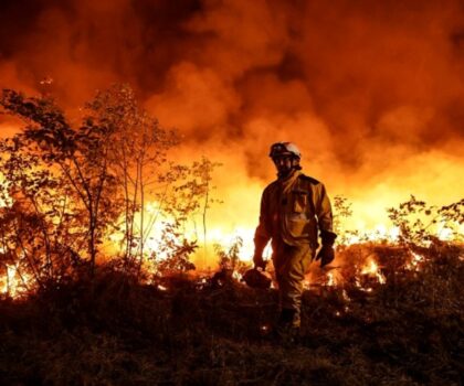 البرتغال.. اعتقال 72 شخصا بتهمة إشعال الحرائق في الصيف الماضي